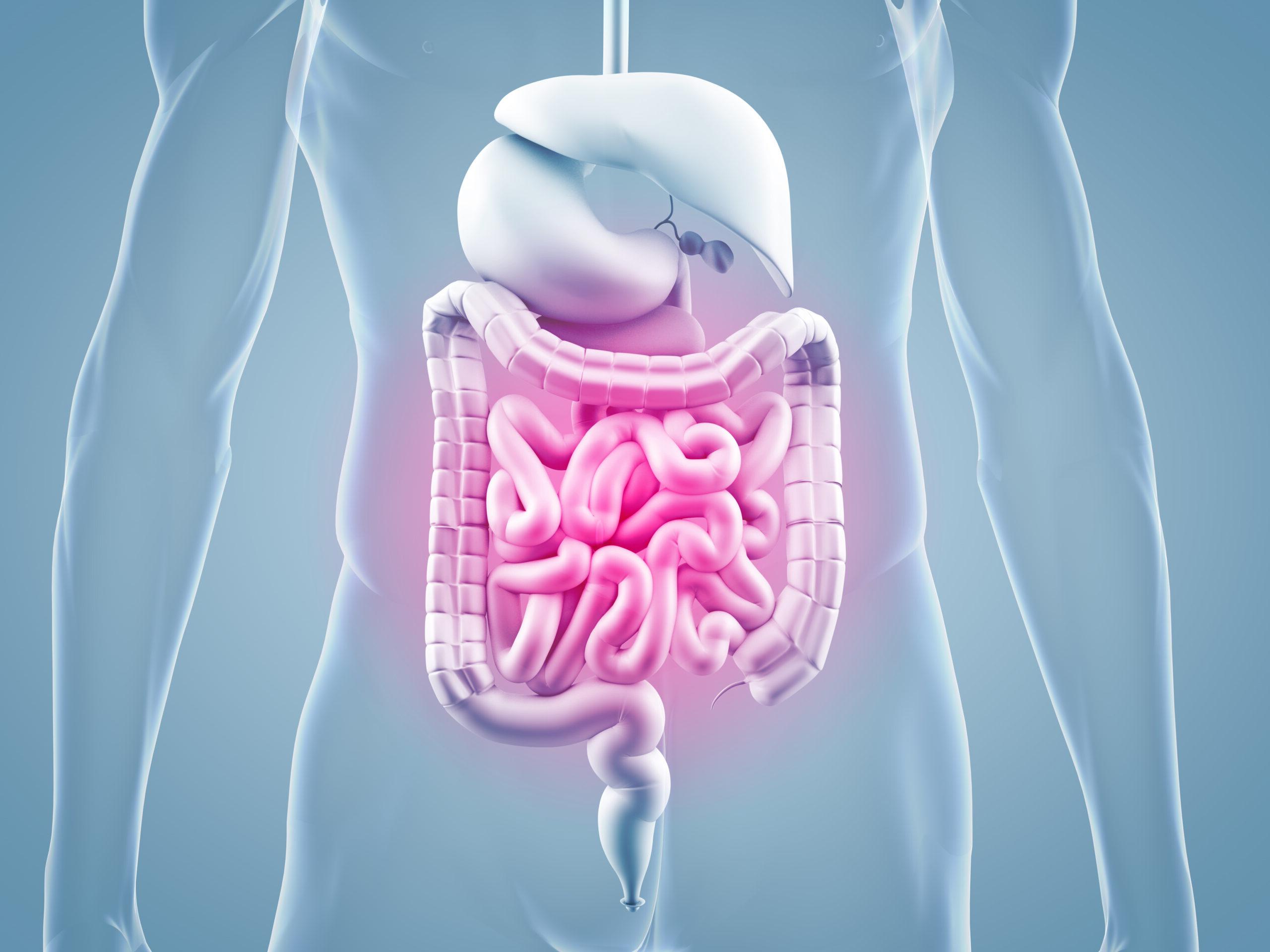 How To Treat Leaky Gut Syndrome