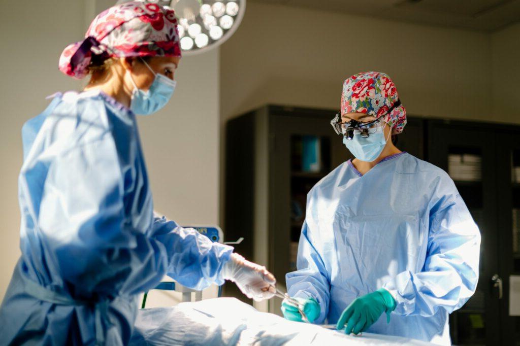 腹部除皱 Surgeons Performing Procedure